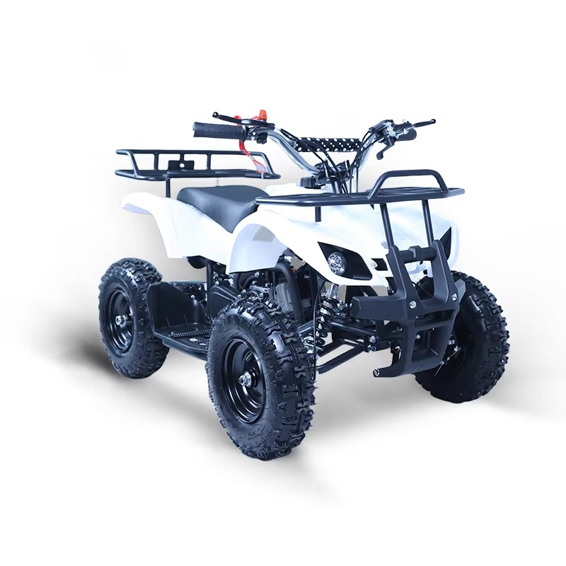 49cc Mini ATV Kinderquad 2-tak - Kids Outdoor Quad recensie en prijs