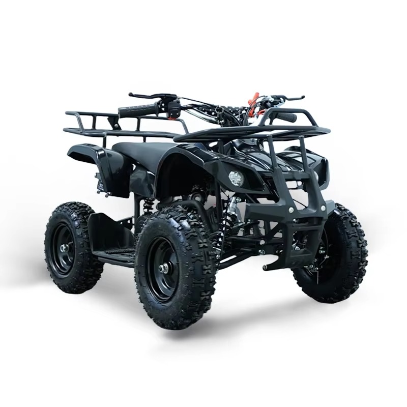 49cc Mini ATV Kinderquad 2-tak - Kids Outdoor Quad recensie en prijs