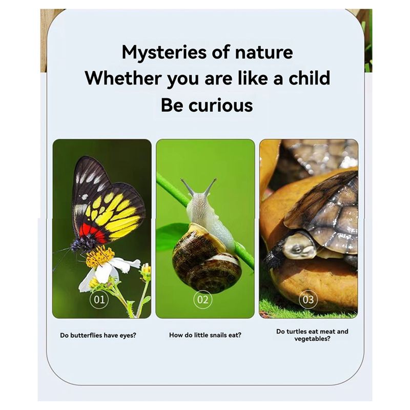 A67P-New Bug Viewer Outdoor In - Kids Outdoor Explorer Kit recensie en prijs